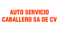 AUTO SERVICIO CABALLERO S.A. DE C.V. logo