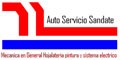 Auto Servicio Sandate logo