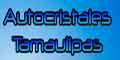 Autocristales Tamaulipas logo