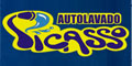 Autolavado Picasso logo