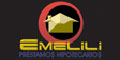 Autopawn Emelili logo