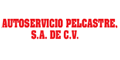 AUTOSERVICIO PELCASTRE SA DE CV logo