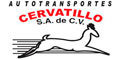 Autotransportes Cervatillo Sa De Cv logo