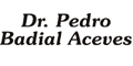 BADIAL ACEVES PEDRO DR
