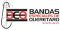 Bandas Especiales De Queretaro logo