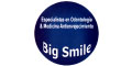 BIG SMILE logo