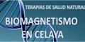 Biomagnetismo En Celaya logo