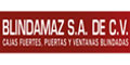 Blindamaz S.A. De C.V. logo