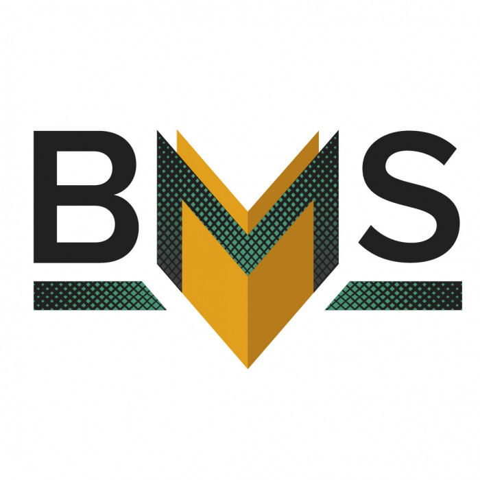 BMS  Business Manufacturing Solutions