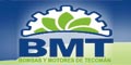 BMT logo