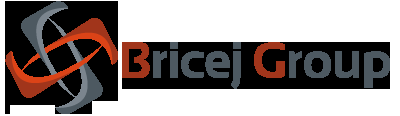 Bricej Group logo