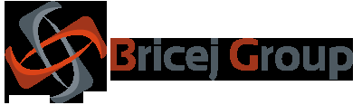 Bricej Group