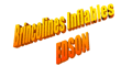 BRINCOLINES INFLABLES EDSON logo