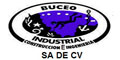 Buceo Industrial Construccion E Ingenieria Sa De Cv