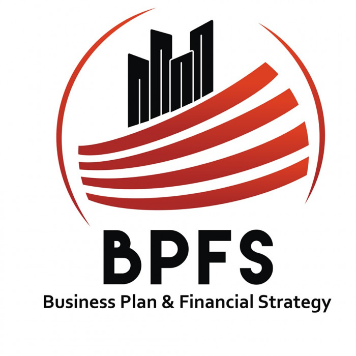 business plan & financial strategy logo