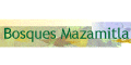 CABAÑAS BOSQUES MAZAMITLA logo