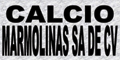 CALCIO Y MARMOLINAS S.A. DE C.V.