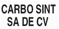 CARBO SINT logo
