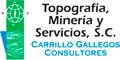 Carrillo Gallegos Consultores