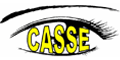 CASSE logo