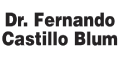 CASTILLO BLUM FERNANDO DR logo