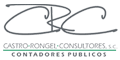 CASTRO RONGEL CONSULTORES SC logo