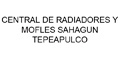 Central De Radiadores Y Mofles Sahagun Tepapulco logo