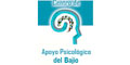 Centro De Apoyo Psicologico Del Bajio logo