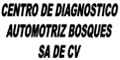 Centro De Diagnostico Automotriz Bosques Sa De Cv