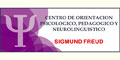 Centro De Orientacion Psicologico Pedagogico Y Neurolinguistico Sigmund Freud