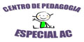 Centro De Pedagogia Especial Ac logo