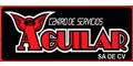 Centro De Servicios Aguilar Sa De Cv logo