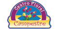 Centro Floral Campestre