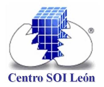 CENTRO SOI ORIENTADO AL INTELECTO - Martinica logo