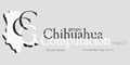 CHIHUAHUA COMPUTACION logo