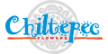 CHILTEPEC logo