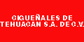 CIGUEÑALES DE TEHUACAN SA DE CV.