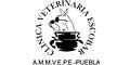 Clinica Veterinaria Escobar