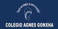 Colegio Agnes Gonxha