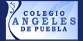 COLEGIO ANGELES DE PUEBLA logo