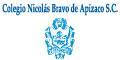 COLEGIO NICOLAS BRAVO logo