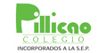 Colegio Pillicao logo