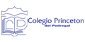 Colegio Princeton Del Pedregal logo
