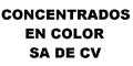Concentrados En Color Sa De Cv logo