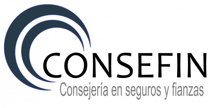 CONSEFIN logo