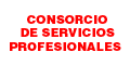 Consorcio De Servicios Profesionales