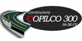Constructora Copilco 300 Sa De Cv logo