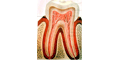 CONSULTORIO DE ESPECIALIDADES ODONTOLOGICAS