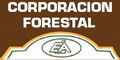 Corporacion Forestal logo