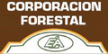 Corporacion Forestal